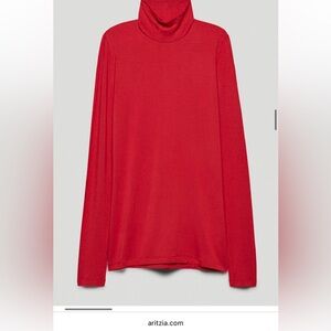 Aritzia slim turtleneck XXS